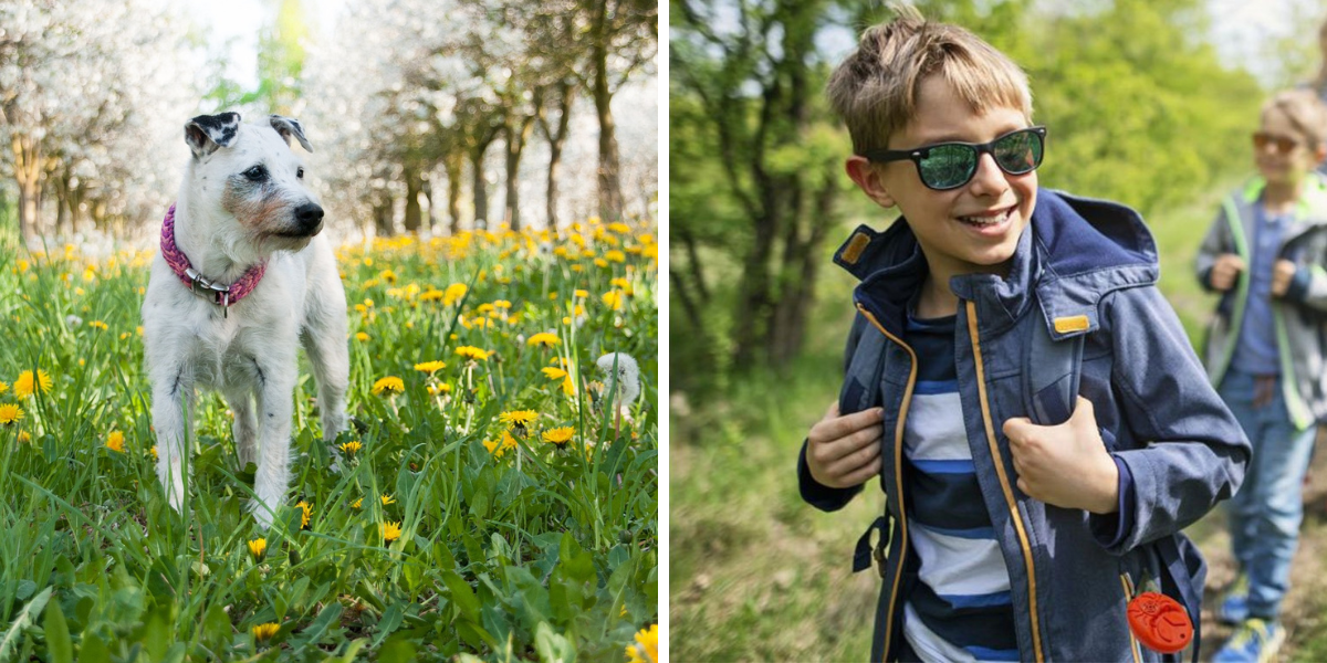 Blog-proti-klistatum-2